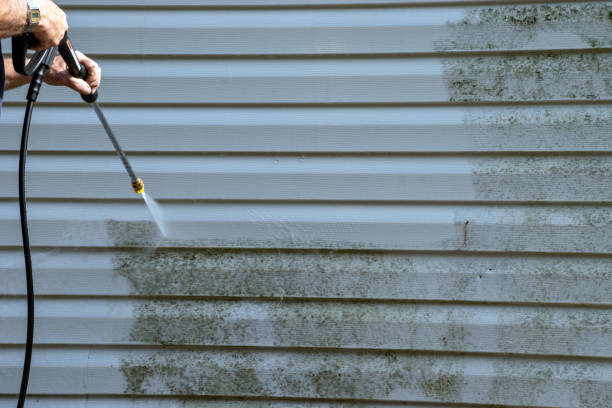 Best Siding Removal and Disposal  in Sur Hill, GA